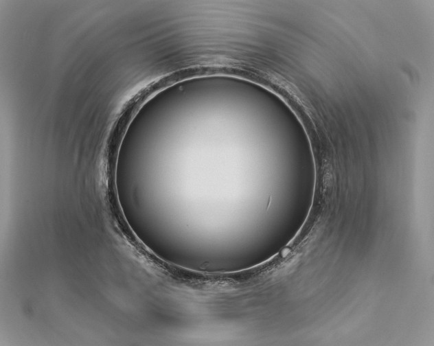 X0000112820979200908211202