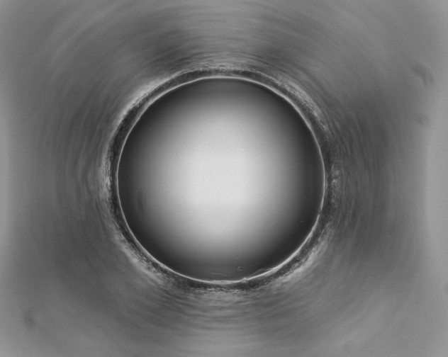 X0000112820981200908211202