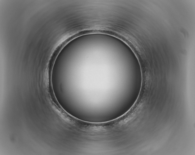 X0000112820982200908211202