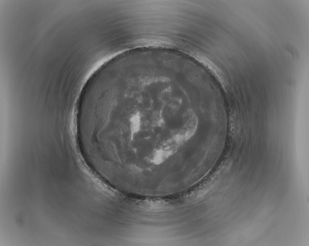 X0000112820983200908211202