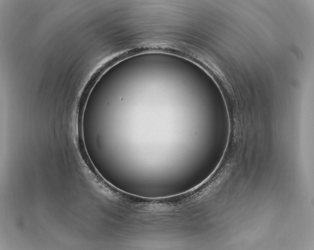 X0000112820984200908211202