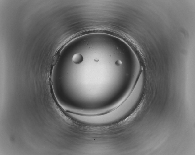 X0000112820985200908211202