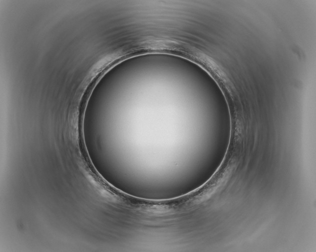 X0000112820986200908211202