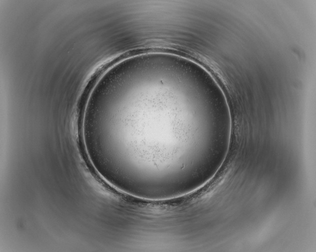 X0000112820987200908211202