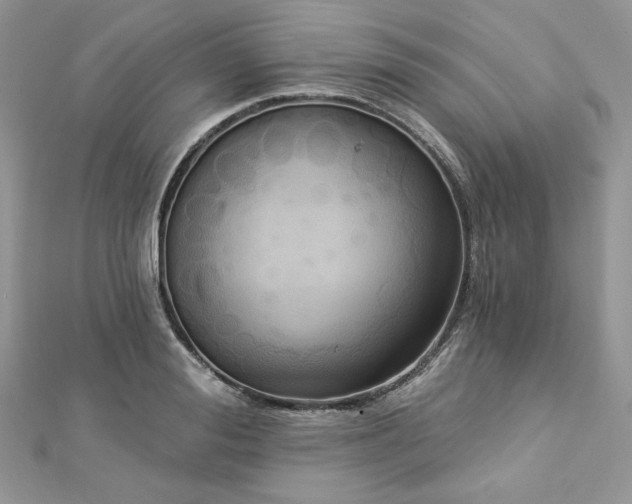 X0000112820988200908211202