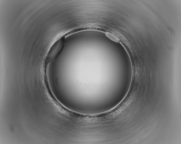 X0000112820989200908211202