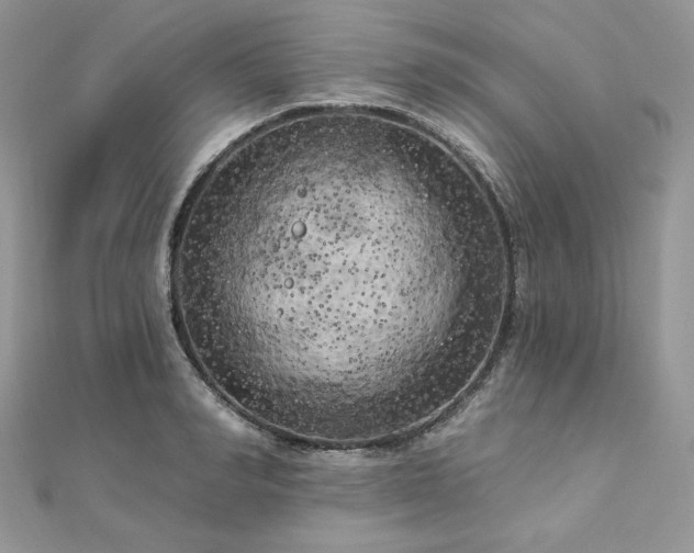 X0000112820990200908211202