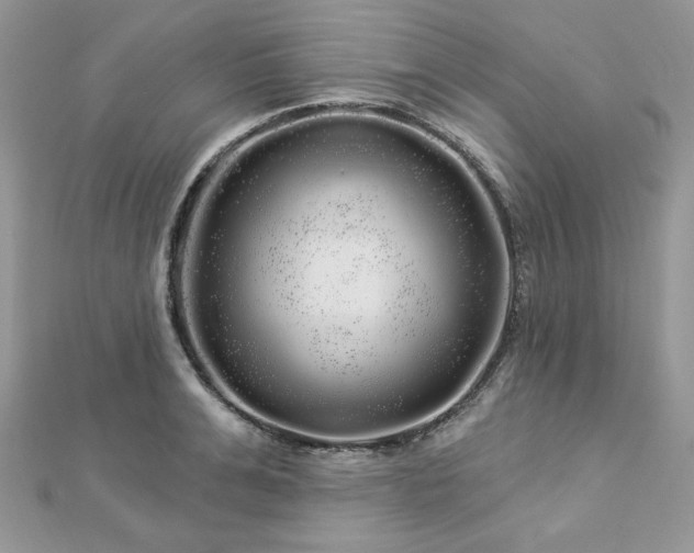X0000112820991200908211202