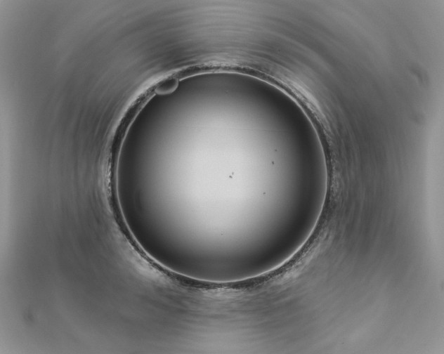 X0000112820992200908211202