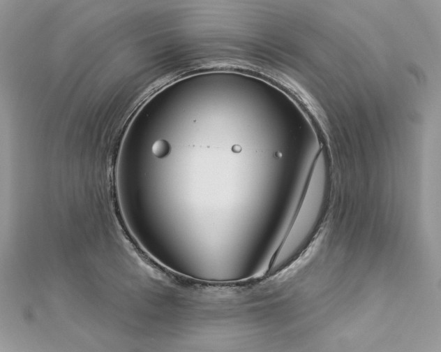 X0000112820993200908211202
