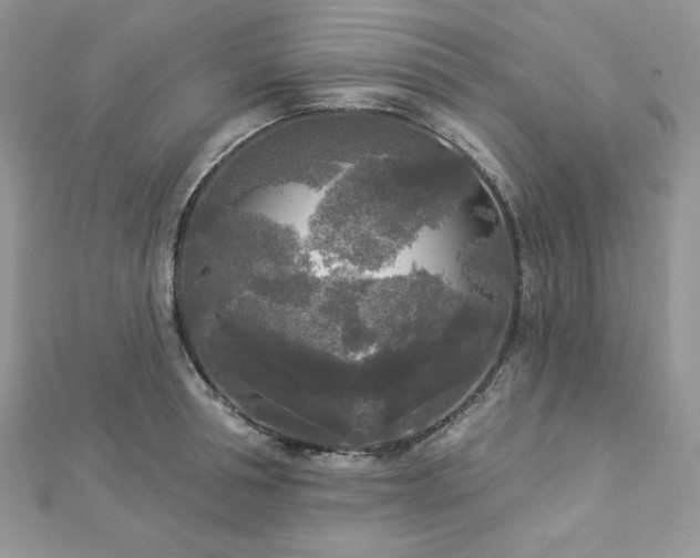 X0000112820994200908211202