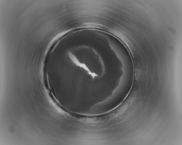 X0000112820995200908211202