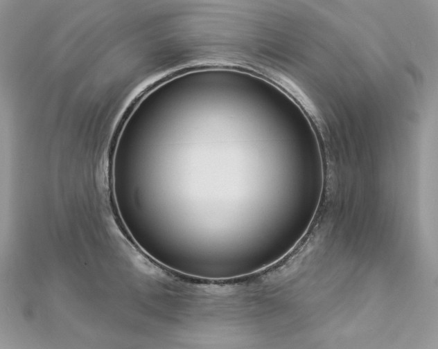 X0000112820996200908211202