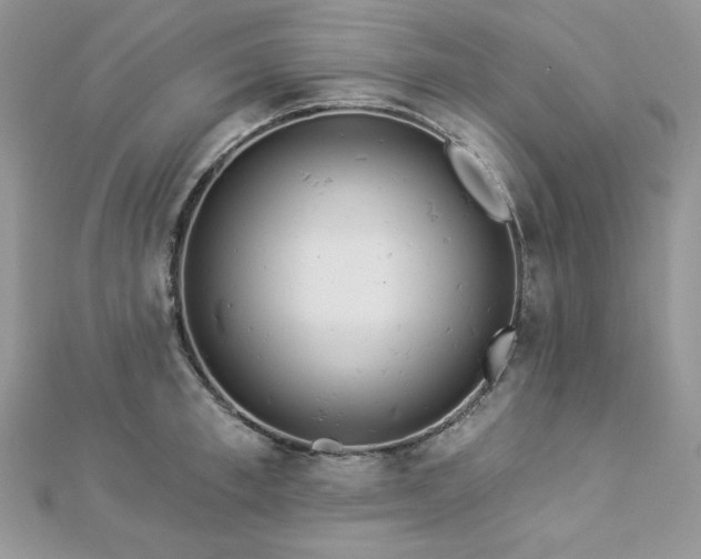 X0000112820997200908211202