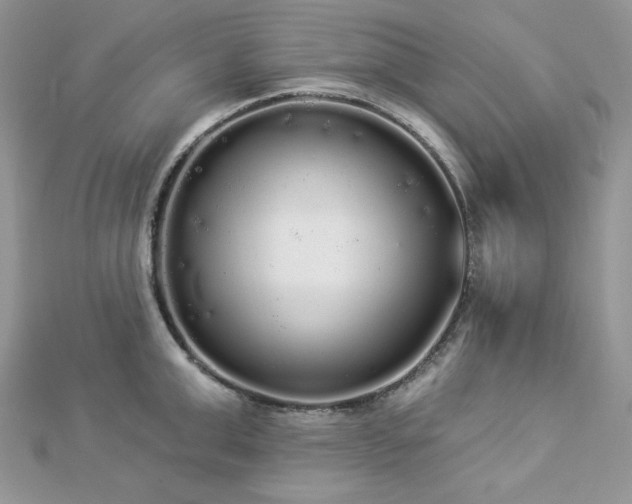 X0000112820999200908211202