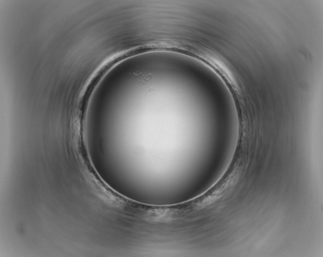 X0000112821000200908211202