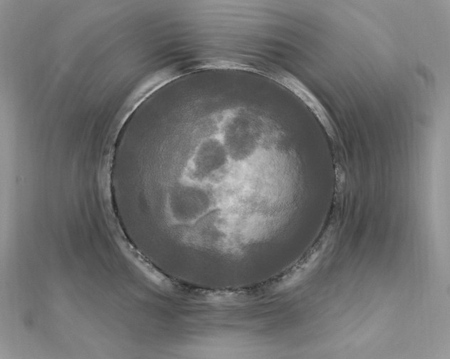 X0000112821002200908211202