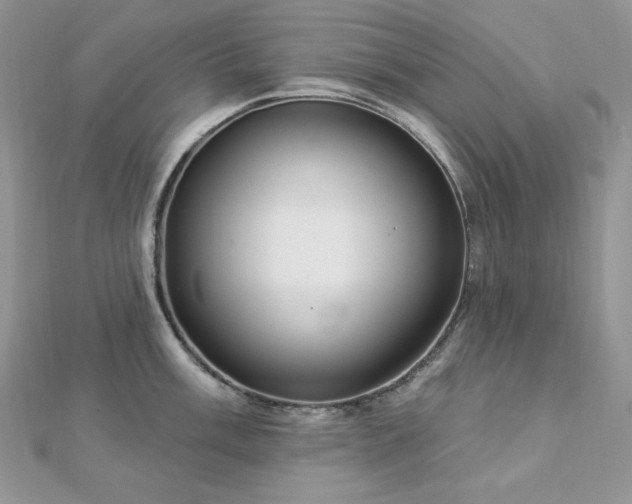 X0000112821003200908211202