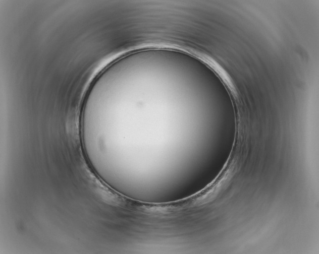 X0000112821004200908211202