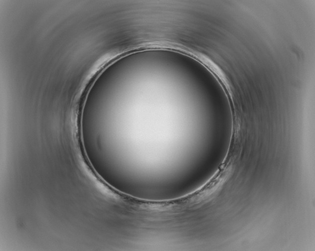 X0000112821005200908211202