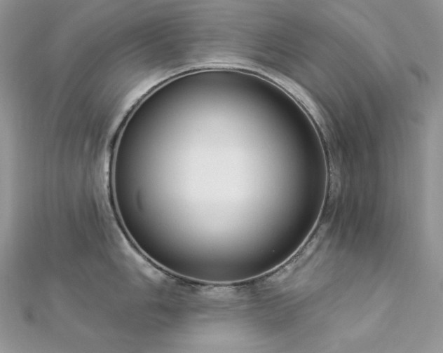 X0000112821006200908211202
