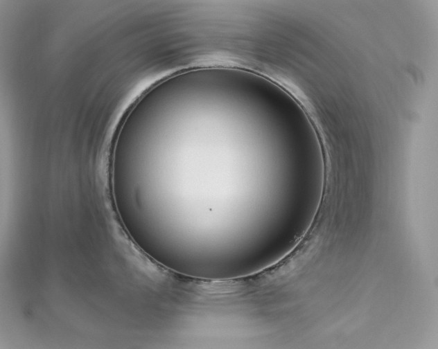 X0000112821008200908211202