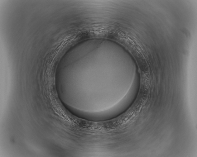 X0000112821009200908211201