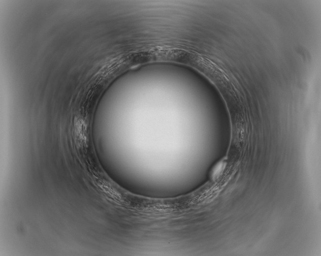 X0000112821010200908211201