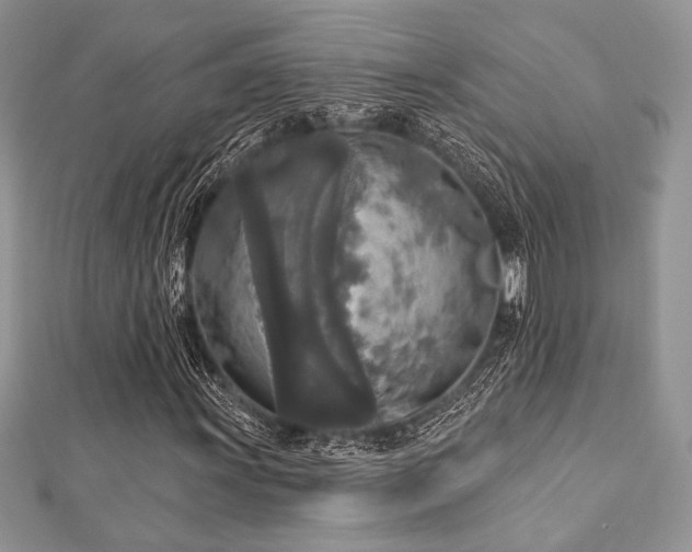 X0000112821011200908211201