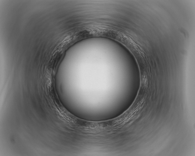 X0000112821012200908211201