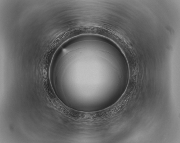 X0000112821013200908211201