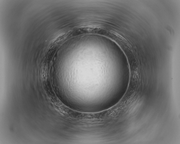 X0000112821014200908211201