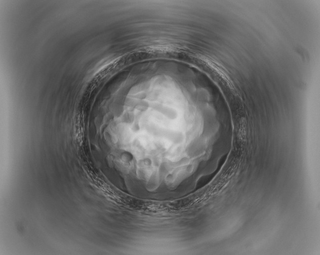 X0000112821015200908211201