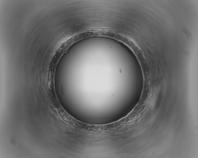 X0000112821016200908211201