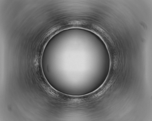 X0000112821017200908211201