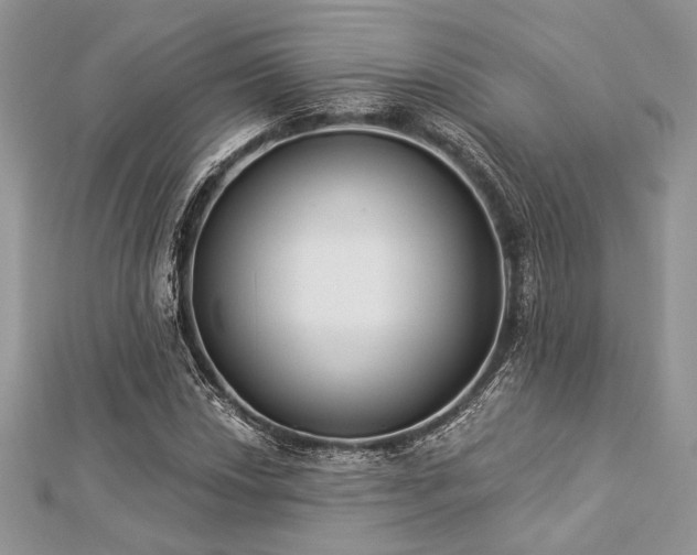 X0000112821018200908211201