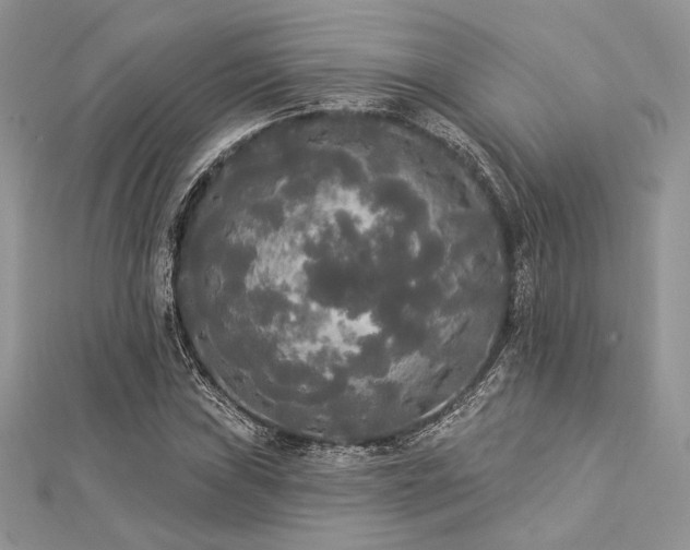 X0000112821019200908211201