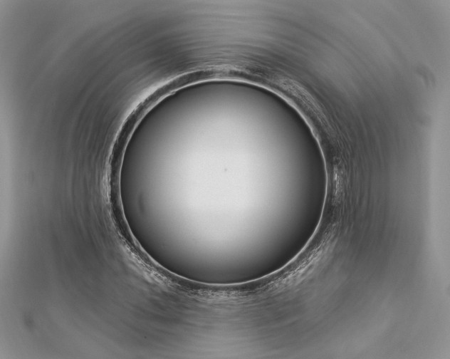 X0000112821020200908211201