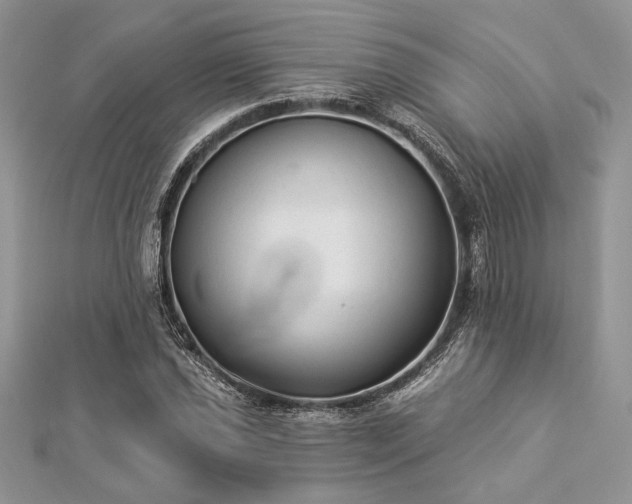 X0000112821021200908211201