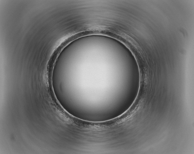 X0000112821022200908211201
