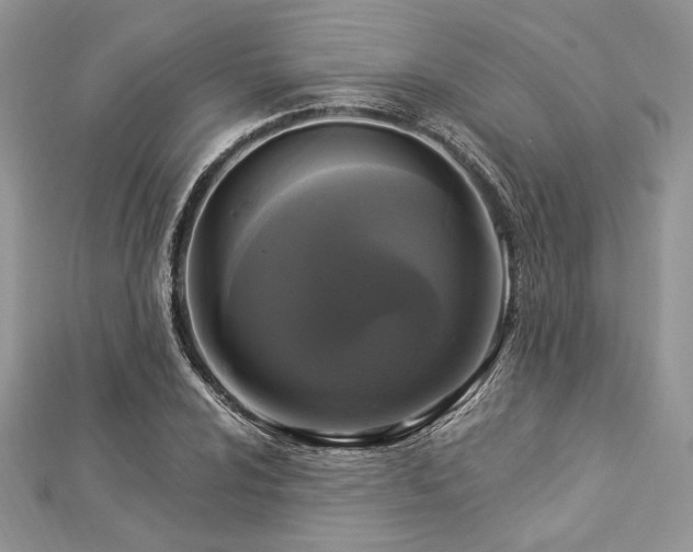 X0000112821024200908211201