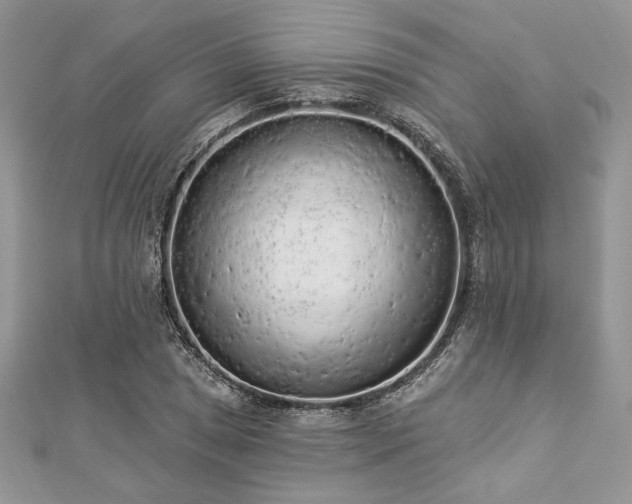 X0000112821025200908211201