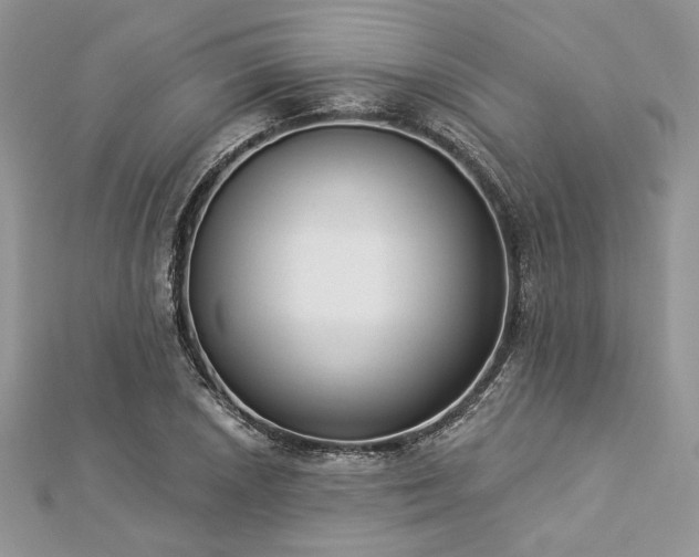 X0000112821026200908211201