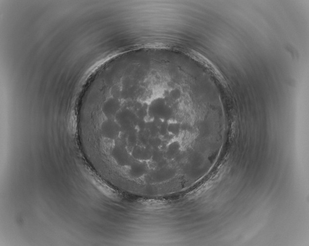 X0000112821027200908211201