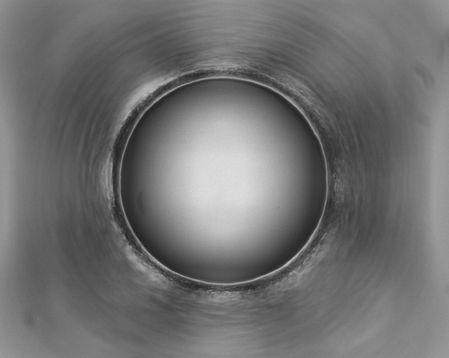 X0000112821030200908211202