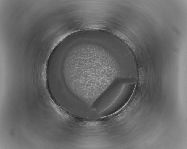 X0000112821031200908211202