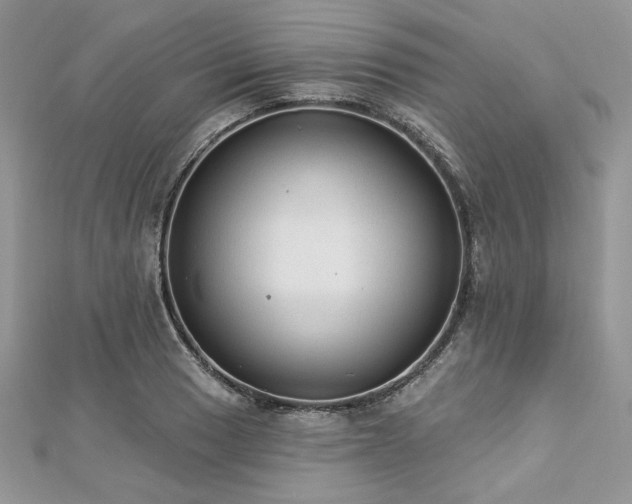 X0000112821033200908211202