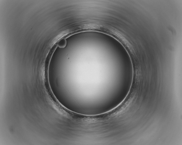 X0000112821034200908211202