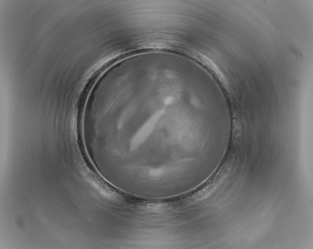 X0000112821035200908211202