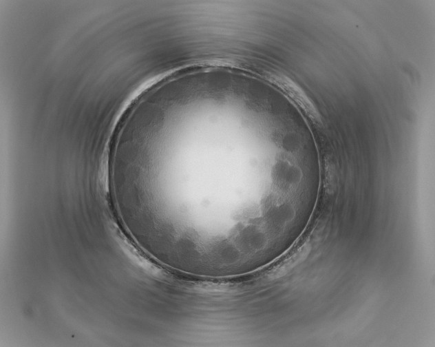 X0000112821036200908211202
